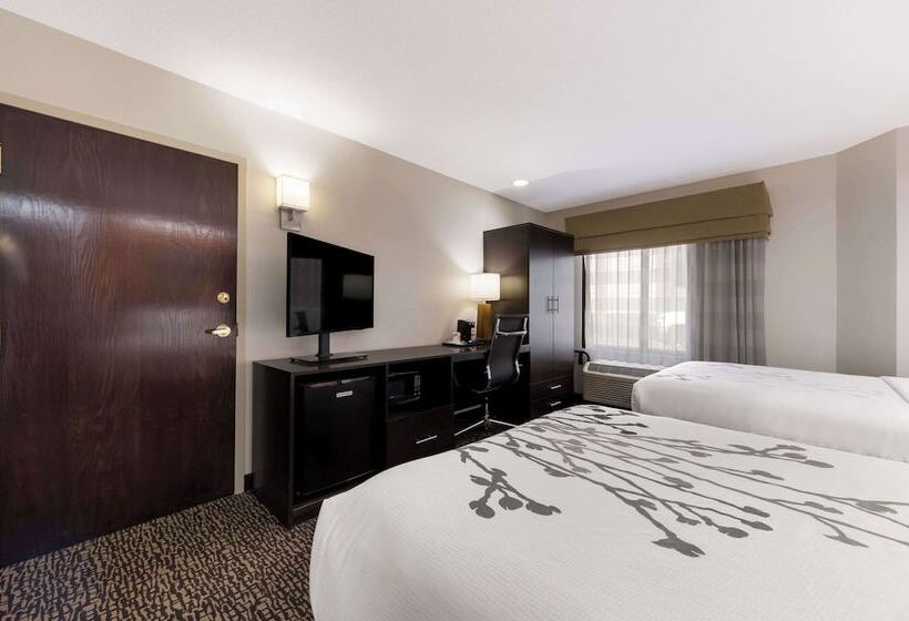 غرفه قياسيه سريرين مزدوجين, Sleep Inn Kernersville I 40