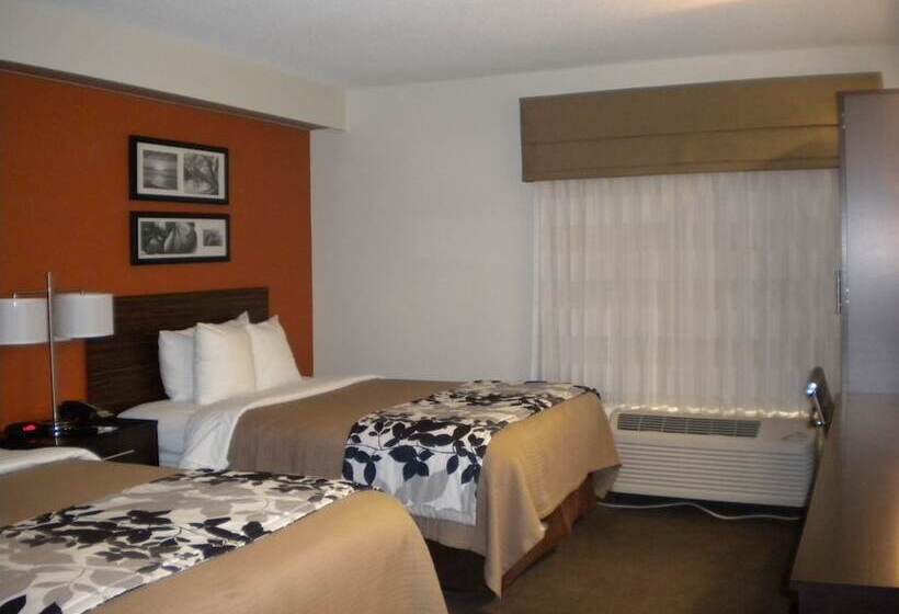 Номер Стандарт 2 Двуспальные Кровати, Sleep Inn Kernersville I 40