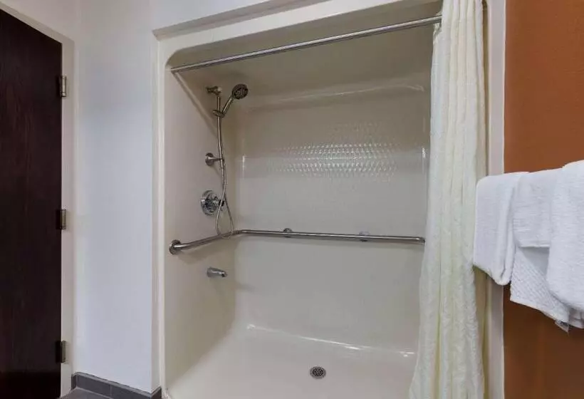 身障者適用スタンダードルーム, Sleep Inn Kernersville I 40
