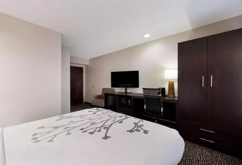 身障者適用スタンダードルーム, Sleep Inn Kernersville I 40