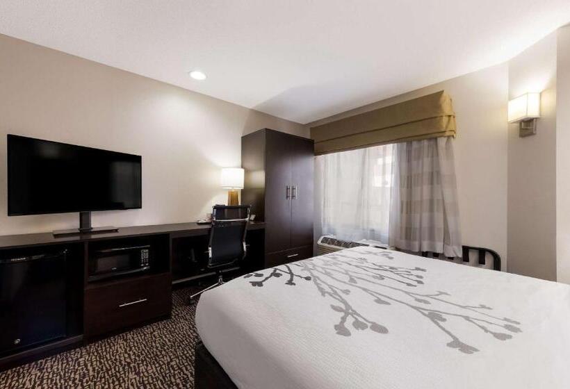 Номер Стандарт Адаптированный для Инвалидов, Sleep Inn Kernersville I 40