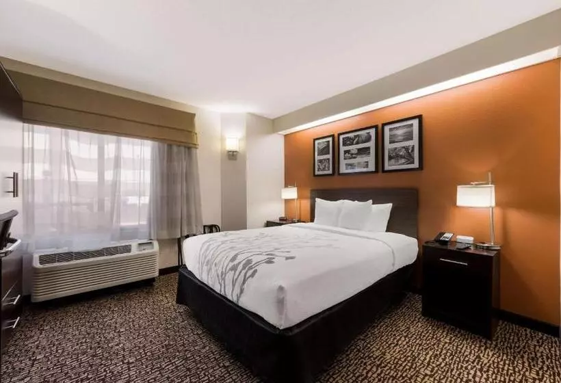 身障者適用スタンダードルーム, Sleep Inn Kernersville I 40