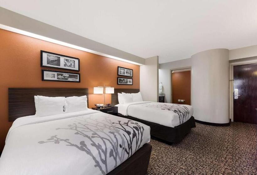 غرفه قياسيه سريرين مزدوجين, Sleep Inn Kernersville I 40