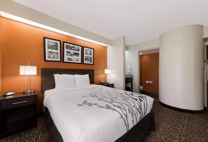 スタンダードルーム, Sleep Inn Kernersville I 40