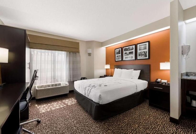 غرفة قياسية, Sleep Inn Kernersville I 40