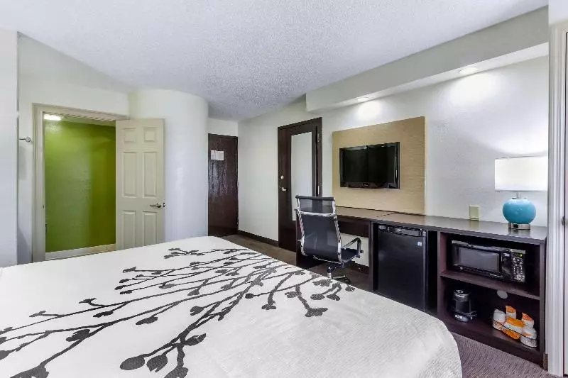 キングサイズベッドのスタンダードルーム, Sleep Inn Near Busch Gardens Usf