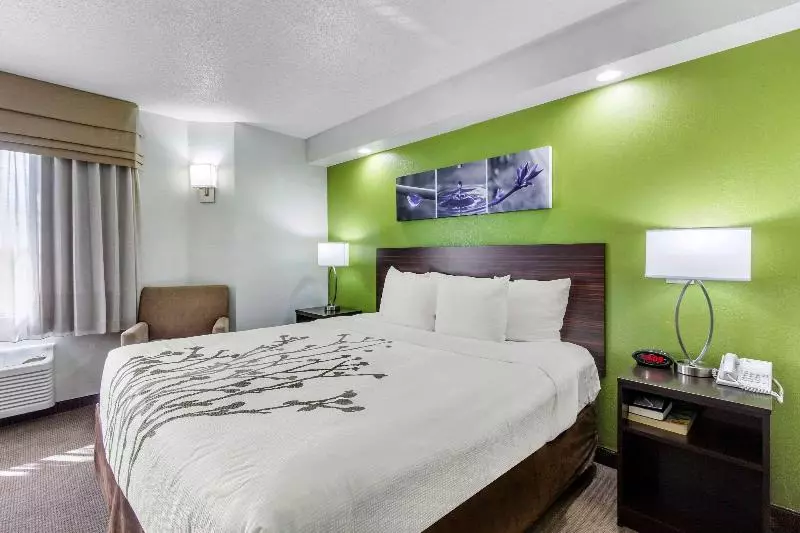 キングサイズベッドのスタンダードルーム, Sleep Inn Near Busch Gardens Usf