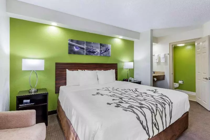 キングサイズベッドのスタンダードルーム, Sleep Inn Near Busch Gardens Usf