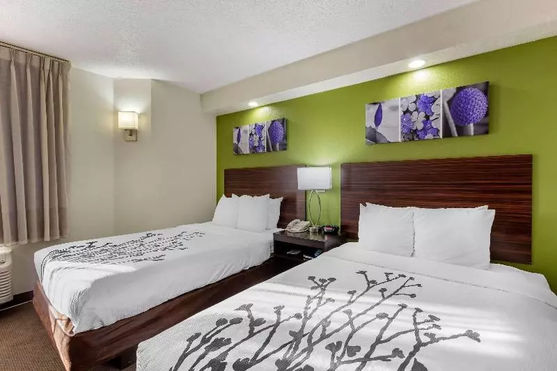 スタンダードルーム, Sleep Inn Near Busch Gardens Usf