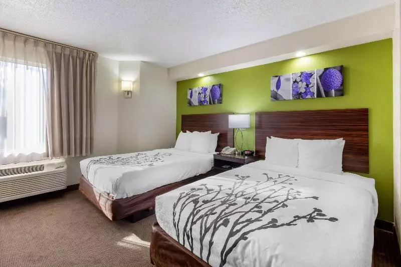 スタンダードルーム, Sleep Inn Near Busch Gardens Usf