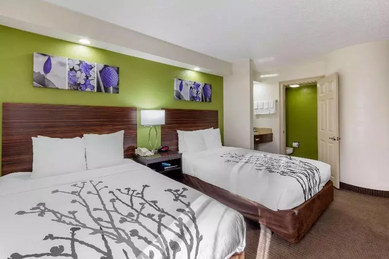 スタンダードルーム, Sleep Inn Near Busch Gardens Usf