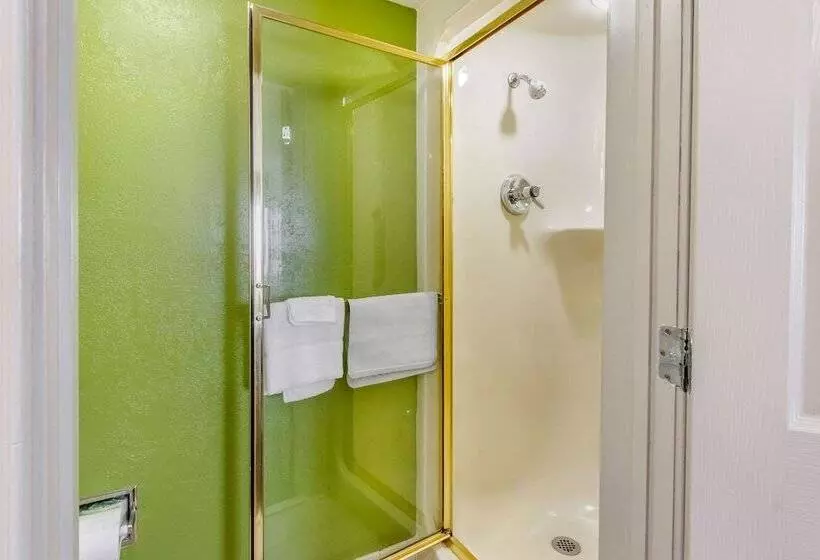 2ダブルベッドのスタンダードルーム, Sleep Inn Near Busch Gardens Usf