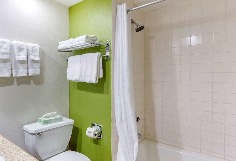 غرفه قياسيه سريرين مزدوجين, Sleep Inn Near Busch Gardens   Usf