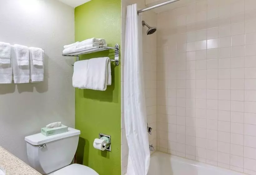 2ダブルベッドのスタンダードルーム, Sleep Inn Near Busch Gardens Usf