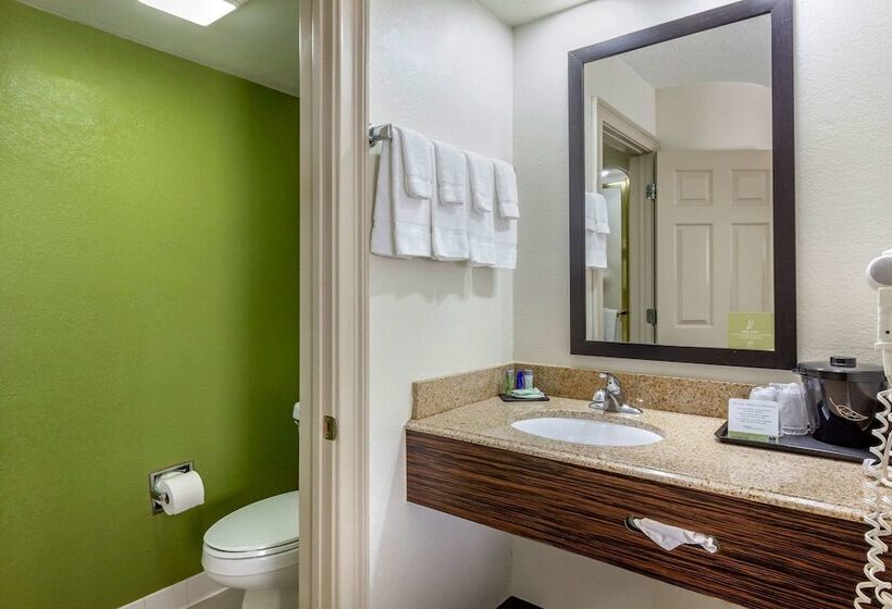 غرفه قياسيه سريرين مزدوجين, Sleep Inn Near Busch Gardens   Usf