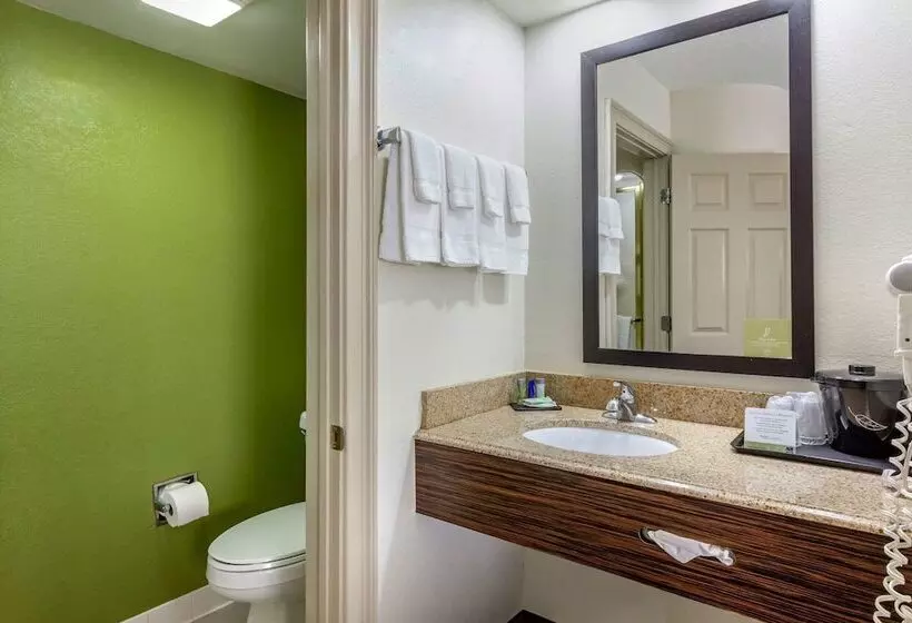 2ダブルベッドのスタンダードルーム, Sleep Inn Near Busch Gardens Usf