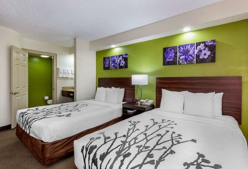 غرفه قياسيه سريرين مزدوجين, Sleep Inn Near Busch Gardens   Usf