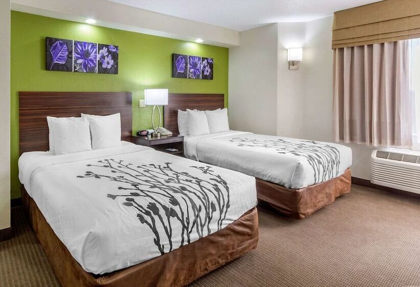 غرفه قياسيه سريرين مزدوجين, Sleep Inn Near Busch Gardens   Usf