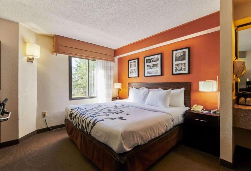 غرفة قياسية, Bob Hotels Tallahassee   Boutique On Budget