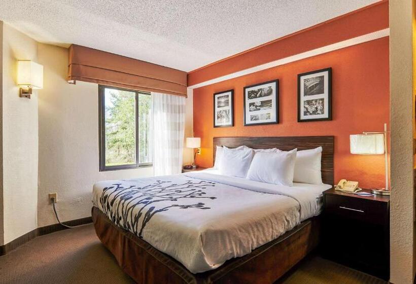 스탠다드 룸, Bob Hotels Tallahassee   Boutique On Budget