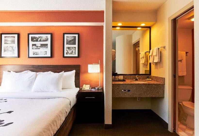 غرفة قياسية سرير كينج, Bob Hotels Tallahassee   Boutique On Budget