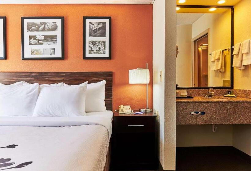 غرفة قياسية لذوى الاحتياجات الخاصة, Bob Hotels Tallahassee   Boutique On Budget