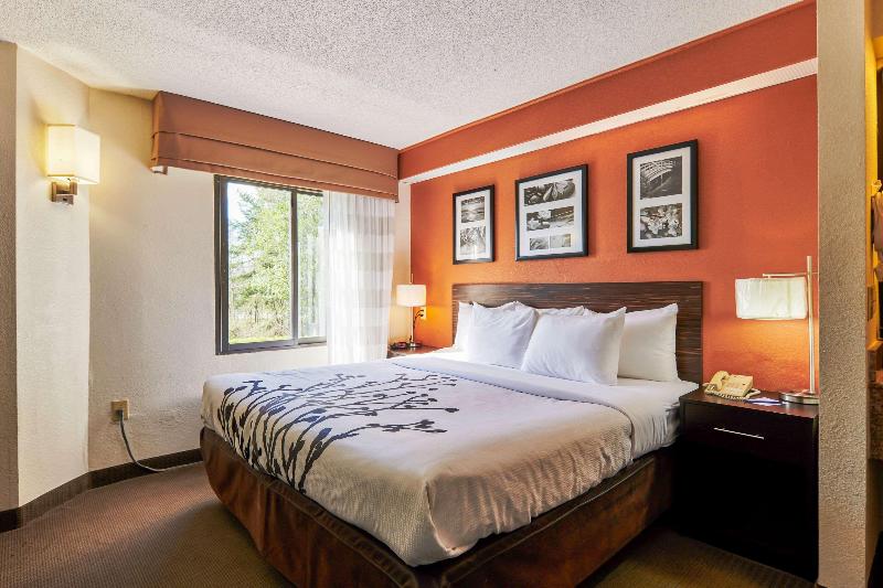 스탠다드 룸 킹사이즈 침대, Bob Hotels Tallahassee   Boutique On Budget