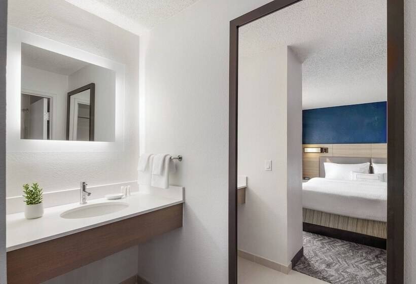 标准工作室, Springhill Suites Tempe At Arizona Mills Mall