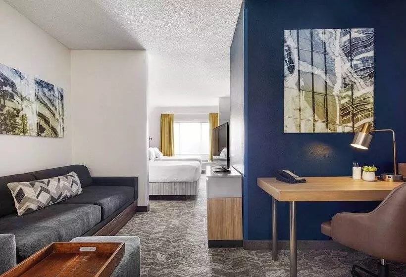 スタンダードスタジオ, Springhill Suites Tempe At Arizona Mills Mall