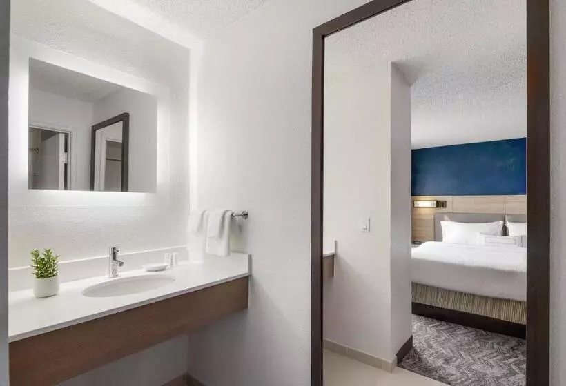 キングサイドベッドのスタンダードワンルーム, Springhill Suites Tempe At Arizona Mills Mall