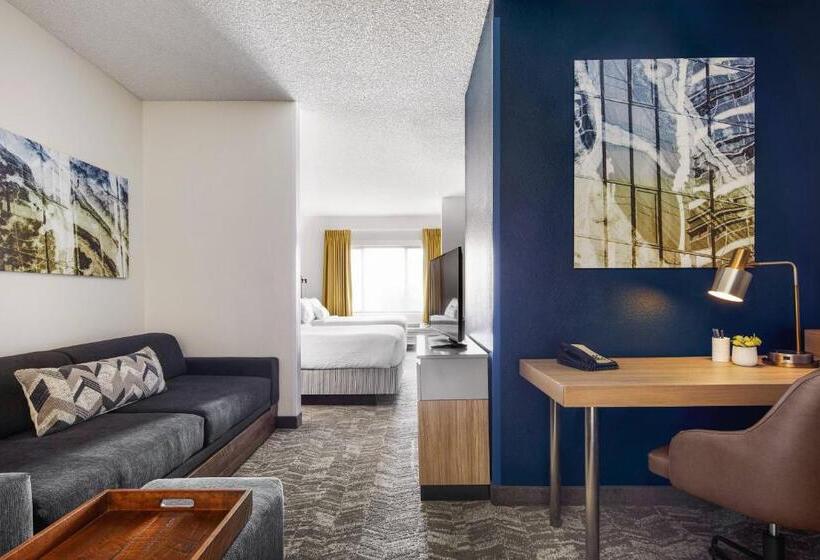 Студия Стандарт, Springhill Suites Tempe At Arizona Mills Mall