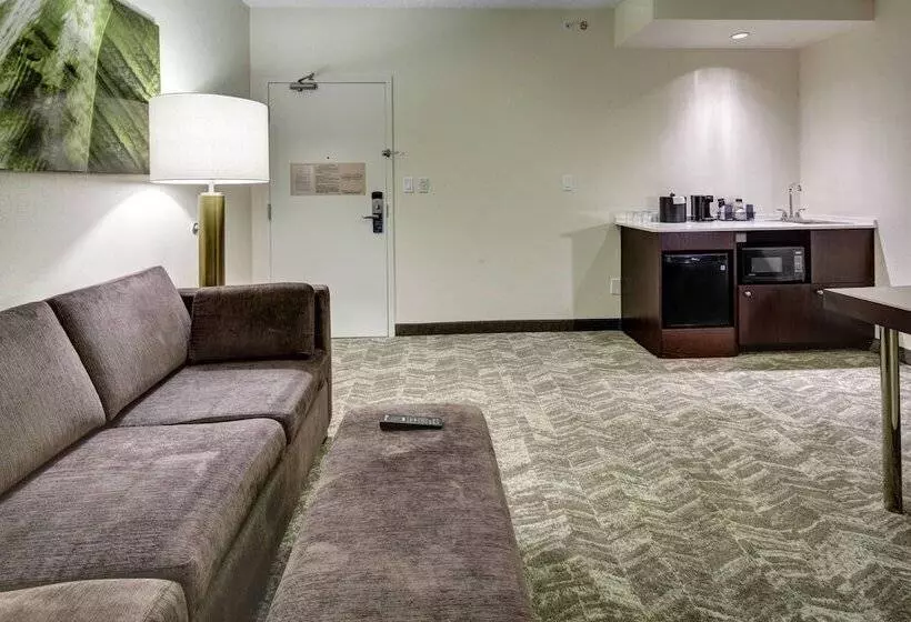 スイート, Springhill Suites Port Saint Lucie