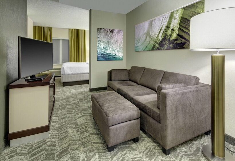 스위트, Springhill Suites Port Saint Lucie