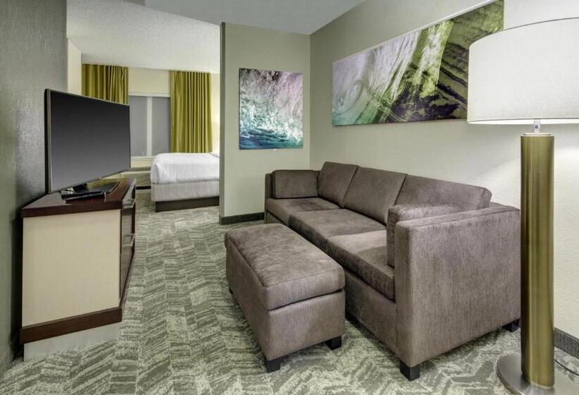 스위트 킹사이즈 침대, Springhill Suites Port Saint Lucie