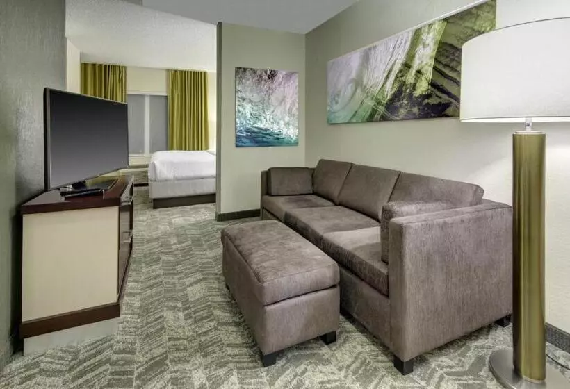 キングサイズベッドのスイートルーム, Springhill Suites Port Saint Lucie