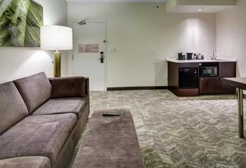 キングサイズベッドのスイートルーム, Springhill Suites Port Saint Lucie