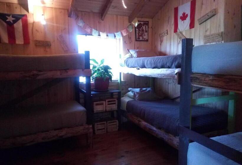 共用房间的床, Ekilibre Surf Eco Hostal