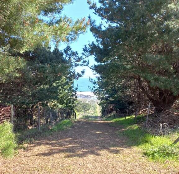 Huis met 1 Slaapkamer, Ekilibre Surf Eco Hostal