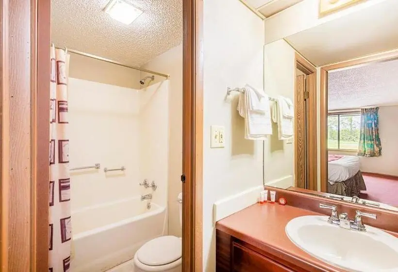 キングサイズベッドのスタンダードルーム, Oyo Hotel Daleville Al Hwy 84