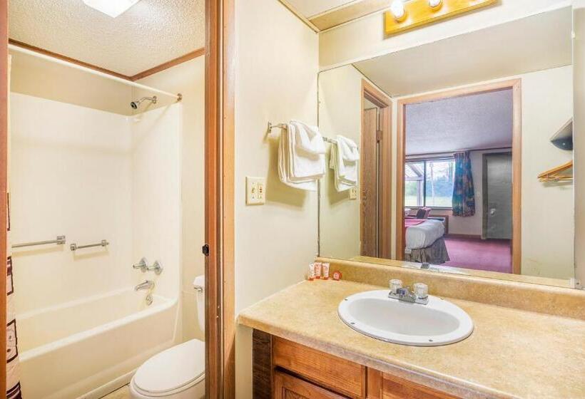 スタンダードシングルルーム, Oyo Hotel Daleville Al Hwy 84