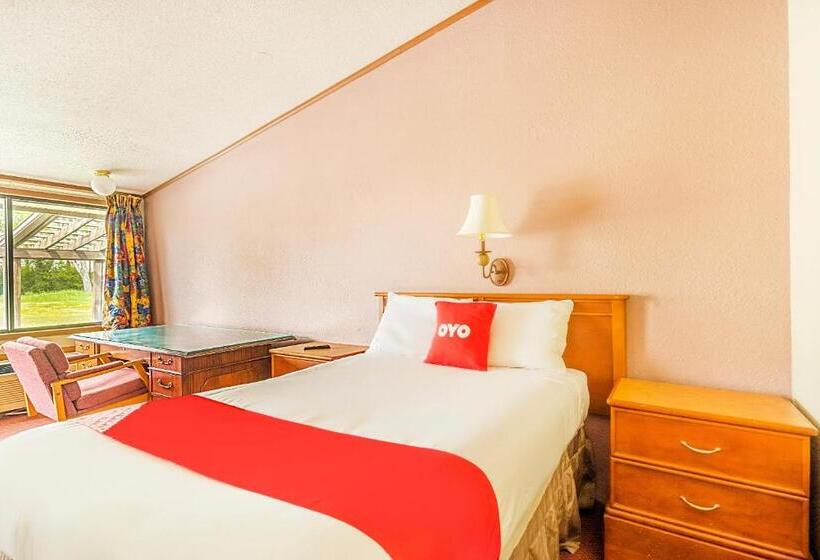 スタンダードシングルルーム, Oyo Hotel Daleville Al Hwy 84