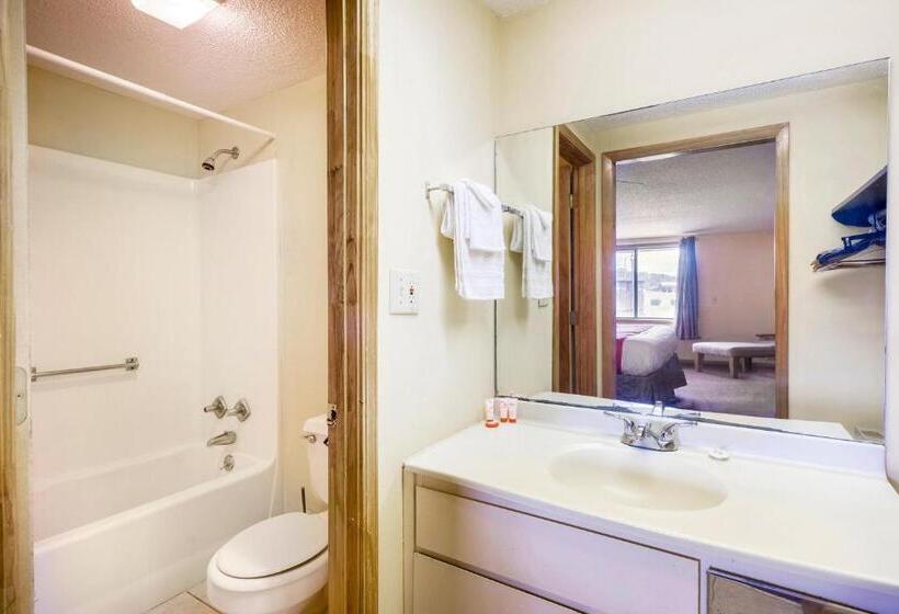 Апартаменты 2 Спальни, Oyo Hotel Daleville Al Hwy 84
