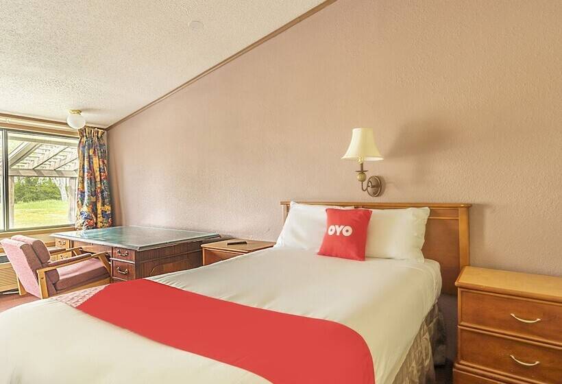 スタンダードシングルルーム, Oyo Hotel Daleville Al Hwy 84