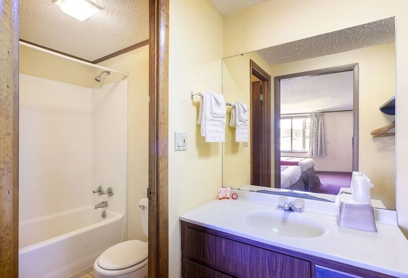 Апартаменты 2 Спальни, Oyo Hotel Daleville Al Hwy 84