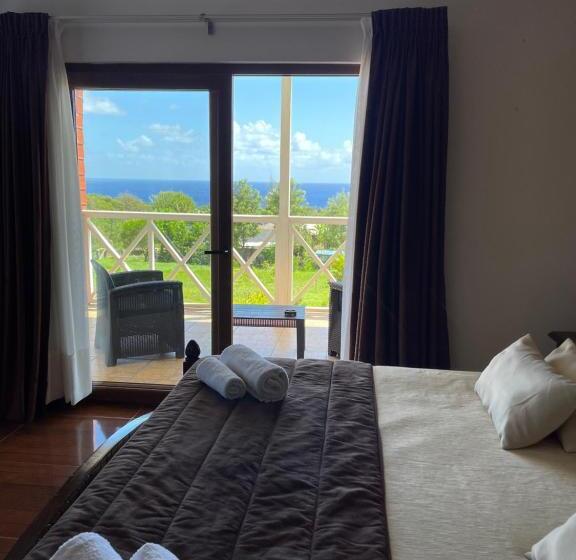 스탠다드 룸 킹사이즈 침대, Teanehi Bed & Breakfast