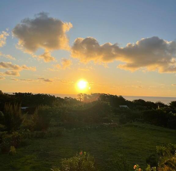 חדר סטנדרט עם מיטת קינג, Teanehi Bed & Breakfast