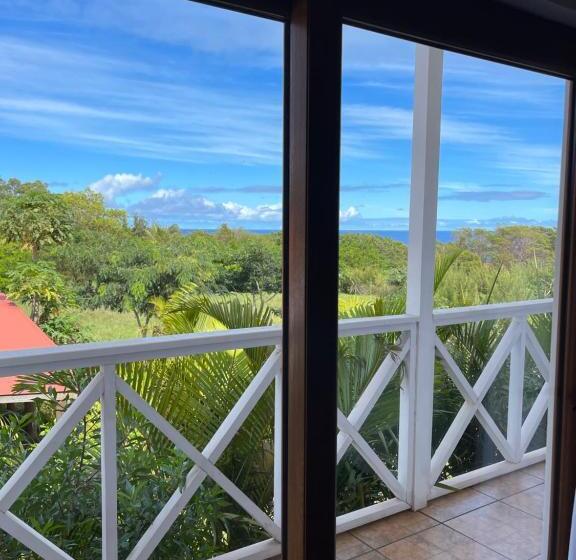 발코니 디럭스 룸, Teanehi Bed & Breakfast