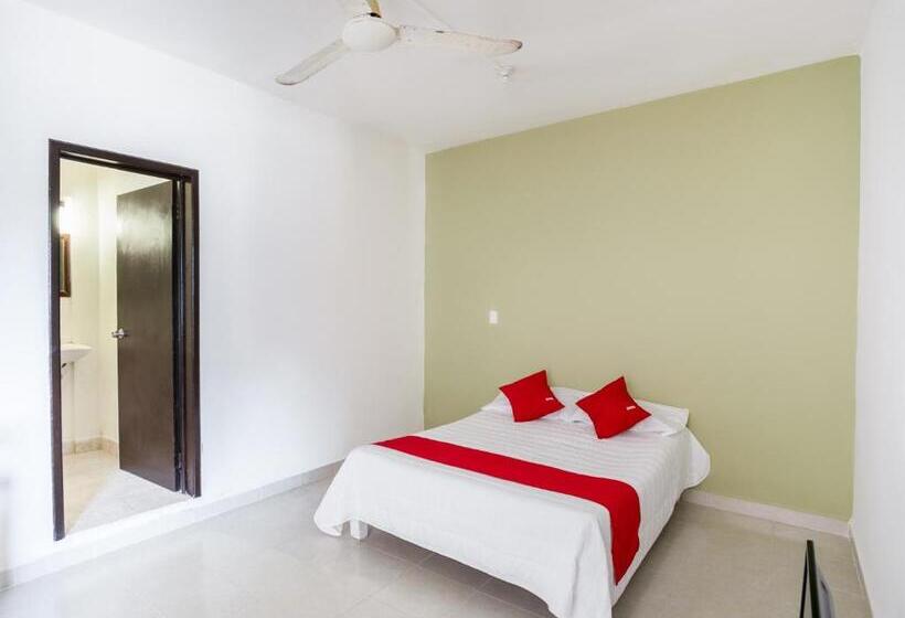 غرفة قياسية, Oyo  Cristal