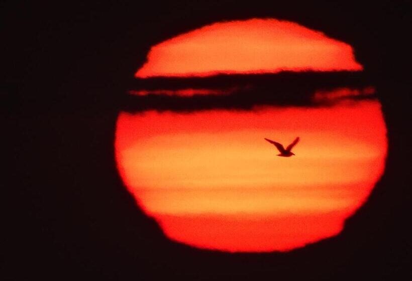 2 Szobás Ház, Cabañas Sakar