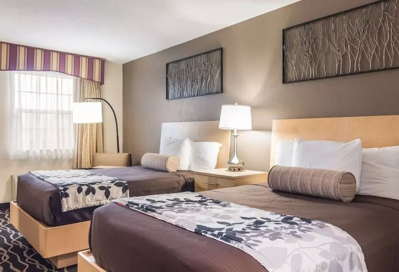 ２ダブルベッドのスタンダードルーム, Americas Best Value Inn Alliance